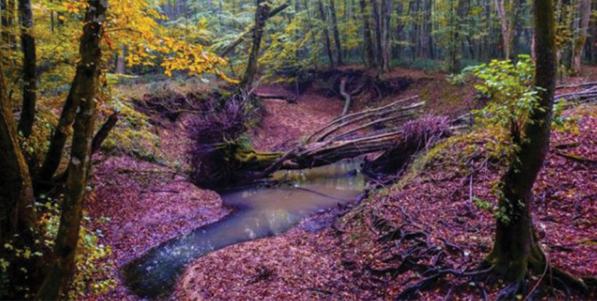 İğneada Ders Çalişma Kampi